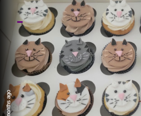 Cat Lovers